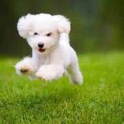 ヒメ日記 2025/10/18 22:31 投稿 かすみ 宮城仙南ちゃんこ