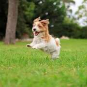 ヒメ日記 2025/10/23 22:01 投稿 かすみ 宮城仙南ちゃんこ