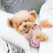 ヒメ日記 2025/11/14 22:21 投稿 かすみ 宮城仙南ちゃんこ