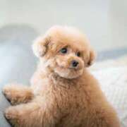 ヒメ日記 2025/11/22 22:21 投稿 かすみ 宮城仙南ちゃんこ