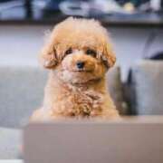 ヒメ日記 2025/11/24 22:41 投稿 かすみ 宮城仙南ちゃんこ