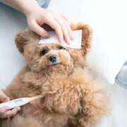 ヒメ日記 2025/11/25 21:15 投稿 かすみ 宮城仙南ちゃんこ