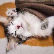 ヒメ日記 2026/01/10 22:21 投稿 かすみ 宮城仙南ちゃんこ