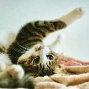 ヒメ日記 2026/01/12 21:01 投稿 かすみ 宮城仙南ちゃんこ