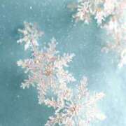 ヒメ日記 2025/11/06 07:36 投稿 今田風美桜 Finemotion