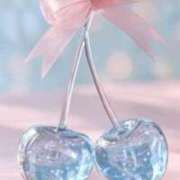 ヒメ日記 2025/12/31 09:44 投稿 今田風美桜 Finemotion