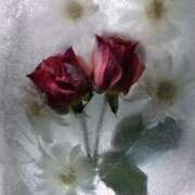 ヒメ日記 2026/03/01 18:48 投稿 今田風美桜 Finemotion