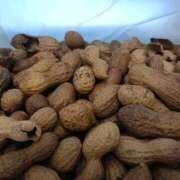 ヒメ日記 2025/10/15 12:24 投稿 あき 長野権堂更埴ちゃんこ