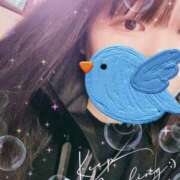 ヒメ日記 2025/10/09 14:45 投稿 夜桜 BBW横浜店