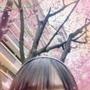 夜桜 おはな🫶 BBW横浜店