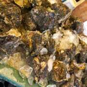 ヒメ日記 2025/12/10 08:44 投稿 あい 茨城神栖ちゃんこ