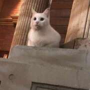 ヒメ日記 2025/12/14 21:27 投稿 あい 茨城神栖ちゃんこ