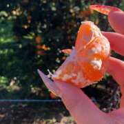 ヒメ日記 2025/12/16 19:14 投稿 あい 茨城神栖ちゃんこ