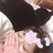 ヒメ日記 2026/01/28 14:37 投稿 あい 茨城神栖ちゃんこ