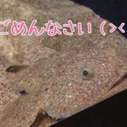 ヒメ日記 2026/05/18 12:18 投稿 あい 茨城神栖ちゃんこ