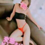 ヒメ日記 2025/11/15 14:19 投稿 城田いちか 月の真珠-新宿-