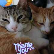 ヒメ日記 2025/10/02 02:11 投稿 のわ ぽちゃ・巨乳専門店　太田足利ちゃんこ