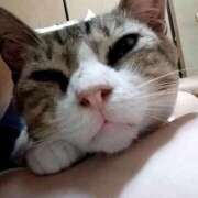 ヒメ日記 2025/10/04 03:21 投稿 のわ ぽちゃ・巨乳専門店　太田足利ちゃんこ