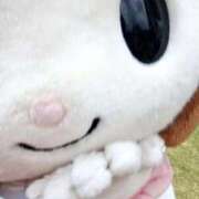 ヒメ日記 2025/10/12 10:21 投稿 のわ ぽちゃ・巨乳専門店　太田足利ちゃんこ