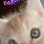 ヒメ日記 2025/10/24 11:41 投稿 のわ ぽちゃ・巨乳専門店　太田足利ちゃんこ