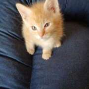 ヒメ日記 2025/10/30 13:02 投稿 のわ ぽちゃ・巨乳専門店　太田足利ちゃんこ