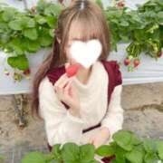 ヒメ日記 2026/02/02 12:31 投稿 あまね ミセスファースト 熊谷店 -お姉さん・若妻専門店-