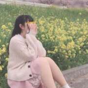 ヒメ日記 2026/04/02 14:30 投稿 あまね ミセスファースト 熊谷店 -お姉さん・若妻専門店-