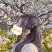ヒメ日記 2026/04/13 18:30 投稿 あまね ミセスファースト 熊谷店 -お姉さん・若妻専門店-