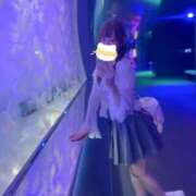 ヒメ日記 2026/09/22 12:16 投稿 あまね ミセスファースト 熊谷店 -お姉さん・若妻専門店-