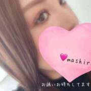 ヒメ日記 2025/11/19 11:22 投稿 真白(ましろ) PLUS梅田店