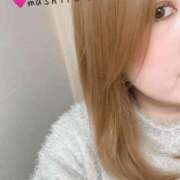 ヒメ日記 2025/11/27 19:12 投稿 真白(ましろ) PLUS梅田店