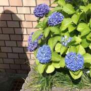 ヒメ日記 2026/05/04 08:18 投稿 白石ひびき お姉さんCLUB