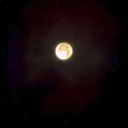 ヒメ日記 2025/10/09 21:33 投稿 美澄 雪 東京貴楼館