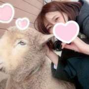 ヒメ日記 2025/10/17 00:13 投稿 美澄 雪 東京貴楼館