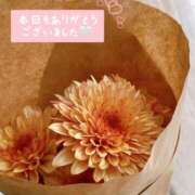 ヒメ日記 2026/02/28 17:23 投稿 美澄 雪 東京貴楼館