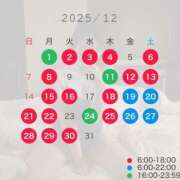 ヒメ日記 2025/12/02 06:30 投稿 そあら The White