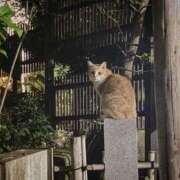 ヒメ日記 2025/10/14 01:41 投稿 美澄 雪 横浜貴楼館