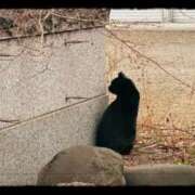 ヒメ日記 2026/03/06 09:21 投稿 美澄 雪 横浜貴楼館