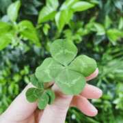 ヒメ日記 2026/04/25 14:21 投稿 美澄 雪 横浜貴楼館