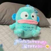 ヒメ日記 2025/10/04 15:55 投稿 みなと♡極上SPコース♡ PANTHER（パンサー）