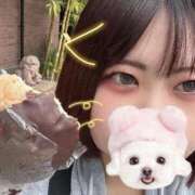 ヒメ日記 2025/10/11 13:50 投稿 あお SPIN(スピン)