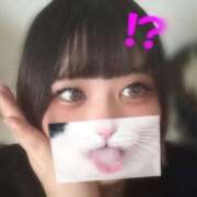 ヒメ日記 2025/10/19 16:10 投稿 あお SPIN(スピン)