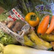 ヒメ日記 2025/10/11 15:46 投稿 谷 鶯谷人妻城