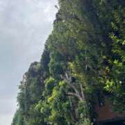 ヒメ日記 2025/10/16 21:56 投稿 谷 鶯谷人妻城