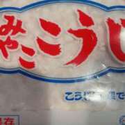 谷 今月の出勤について🌸 鶯谷人妻城