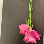 ヒメ日記 2026/01/23 14:30 投稿 谷 鶯谷人妻城