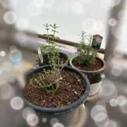 ヒメ日記 2026/03/15 14:51 投稿 谷 鶯谷人妻城