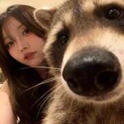 ヒメ日記 2025/10/23 05:57 投稿 「宝島」へと向かう橋。 GOOD-グッド-