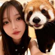 ヒメ日記 2025/10/24 04:13 投稿 「宝島」へと向かう橋。 GOOD-グッド-