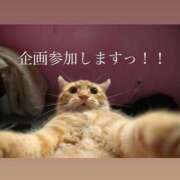 ヒメ日記 2025/11/03 02:50 投稿 「宝島」へと向かう橋。 GOOD-グッド-